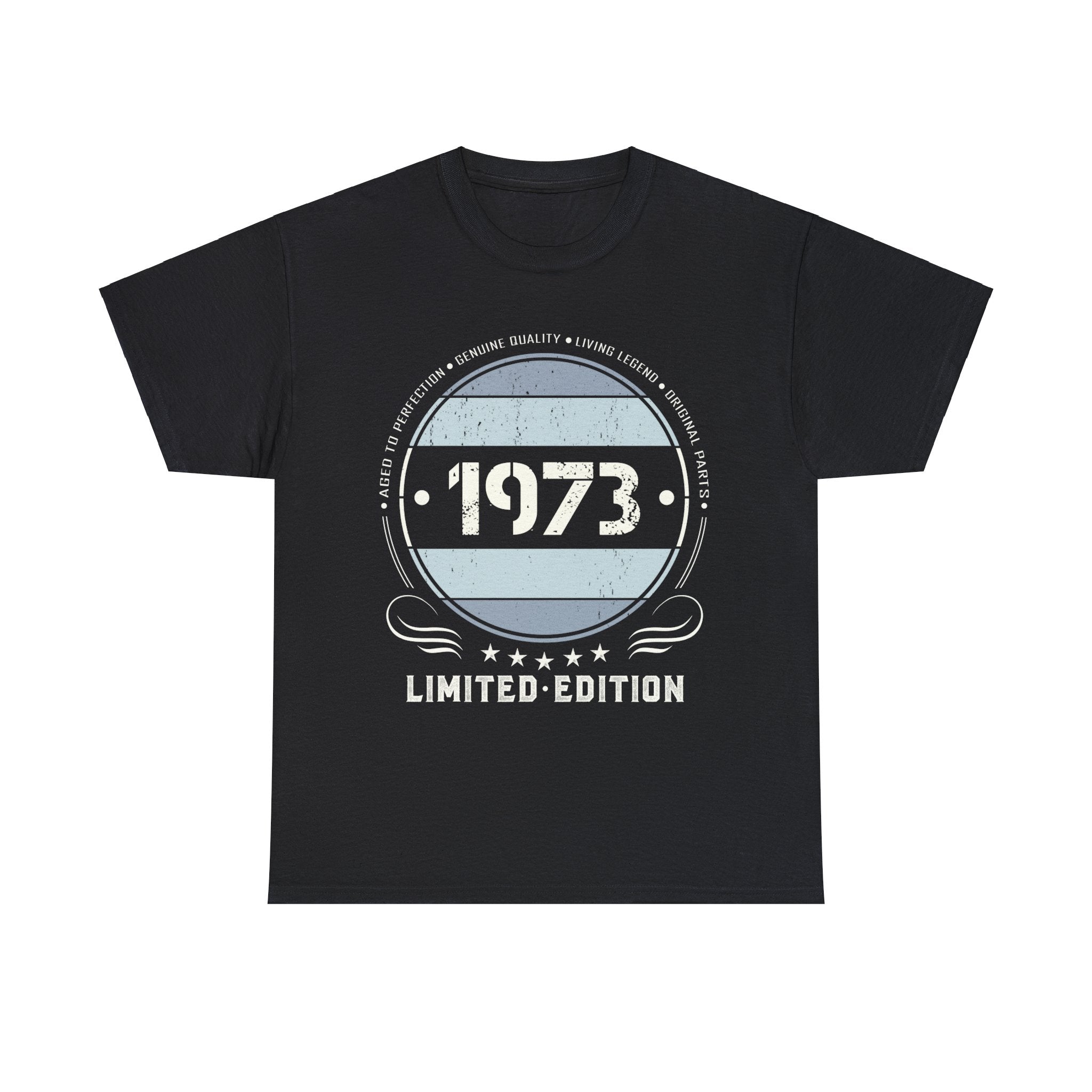 Vintage 1973 T Shirts for Men Retro Funny 1973 Birthday Mens Shirt Plus Size Big and Tall
