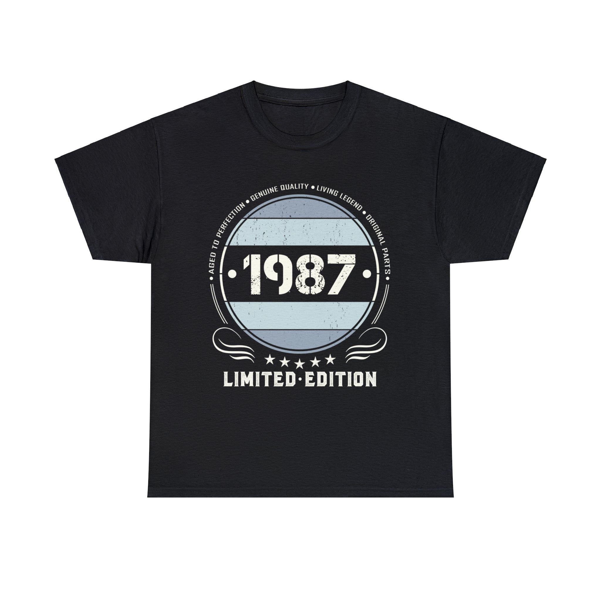 Vintage 1987 T Shirts for Men Retro Funny 1987 Birthday Shirts for Men Plus Size Big and Tall