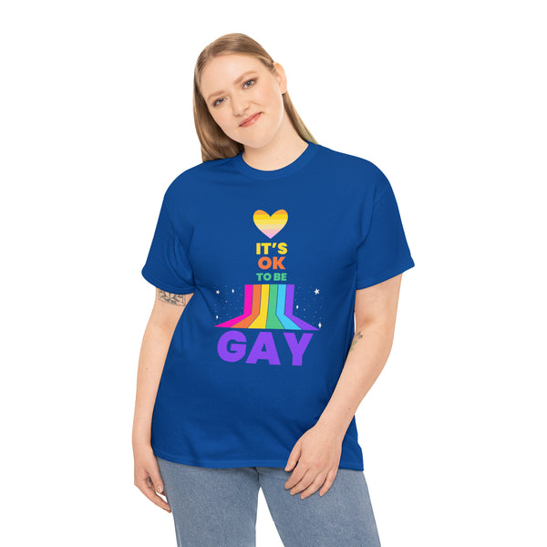 It's OK to Be Gay Gender Equality LGBT Pride Day Gay Rainbow Plus Size Shirts for Women