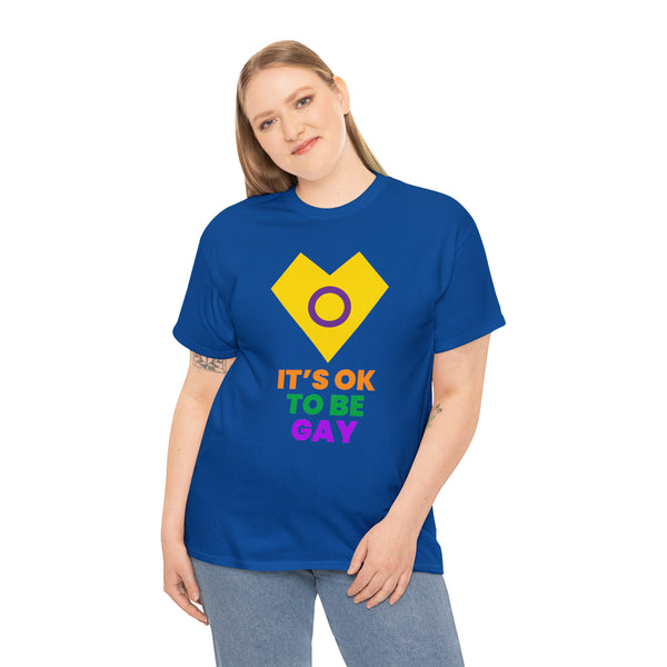 It's OK to Be Gay Pride Month Transgender Rainbow Lesbian Plus Size Tops for Women