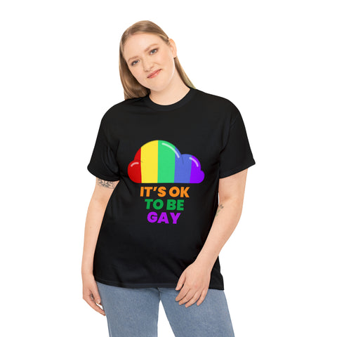 It's OK to Be Gay Equality LGBT Pride Rainbow Lesbian Gay Plus Size Shirts for Women