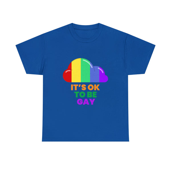 It's OK to Be Gay Equality LGBT Pride Rainbow Lesbian Gay Plus Size Shirts for Women