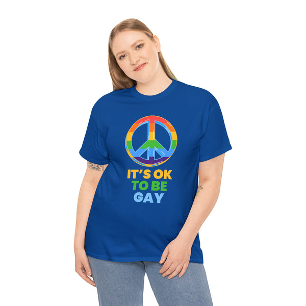 It's OK to Be Gay Pride Ally LGBT Pride Rainbow Lesbian Gay Plus Size Tops for Women