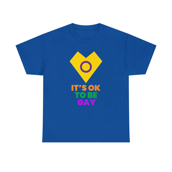 It's OK to Be Gay Pride Month Transgender Rainbow Lesbian Plus Size Tops for Women