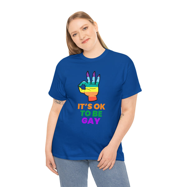 It's OK to Be Gay LGBT Queer Pride Day Rainbow Lesbian Gay Womens Plus Size Tops