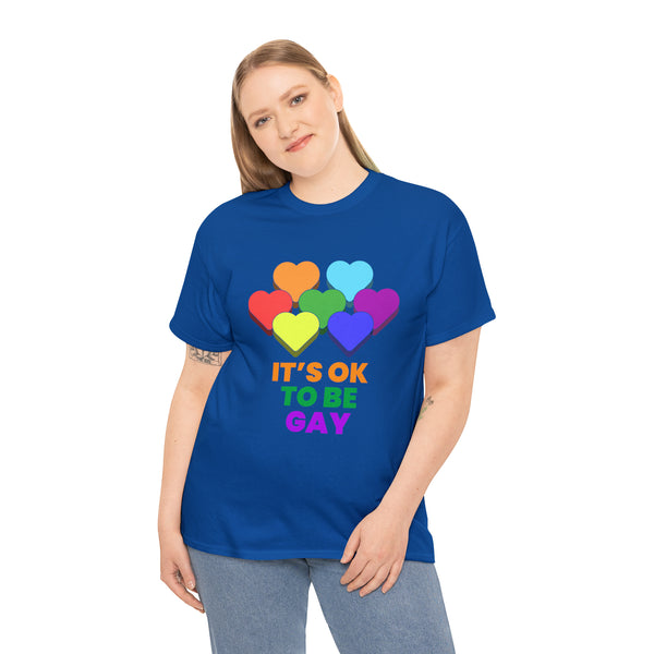 It's OK to Be Gay Pride Month Pride Day Rainbow Lesbian Gay Plus Size Shirts for Women