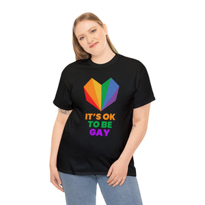 It's OK to Be Gay LGBT Flag Gay Lesbian Pride Month Rainbow Plus Size Clothing for Women