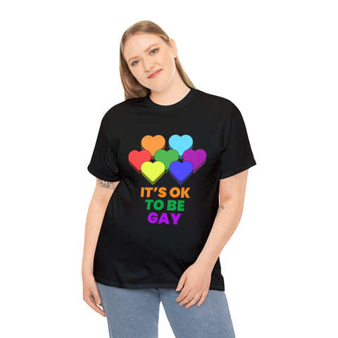 It's OK to Be Gay Pride Month Pride Day Rainbow Lesbian Gay Plus Size Shirts for Women