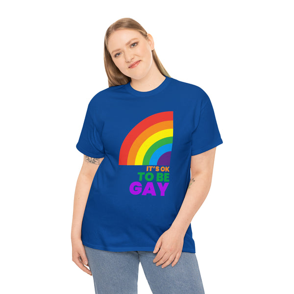 It's OK to Be Gay Equality LGBTQ Pride Rainbow Lesbian Gay Womens Plus Size Tops