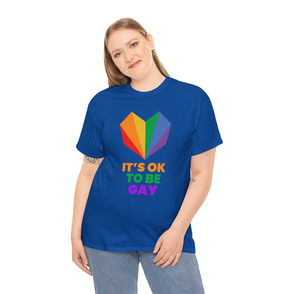 It's OK to Be Gay LGBT Flag Gay Lesbian Pride Month Rainbow Plus Size Clothing for Women