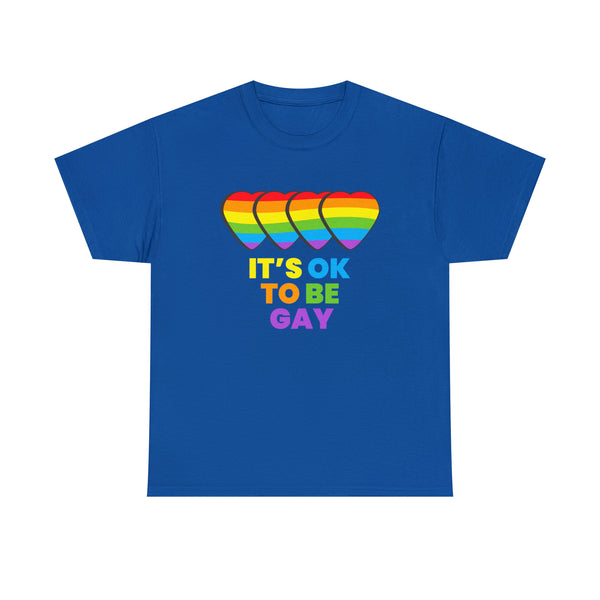 It's OK to Be Gay Pride Month LGBTQ Rainbow Lesbian Gay Womens Plus Size Tops