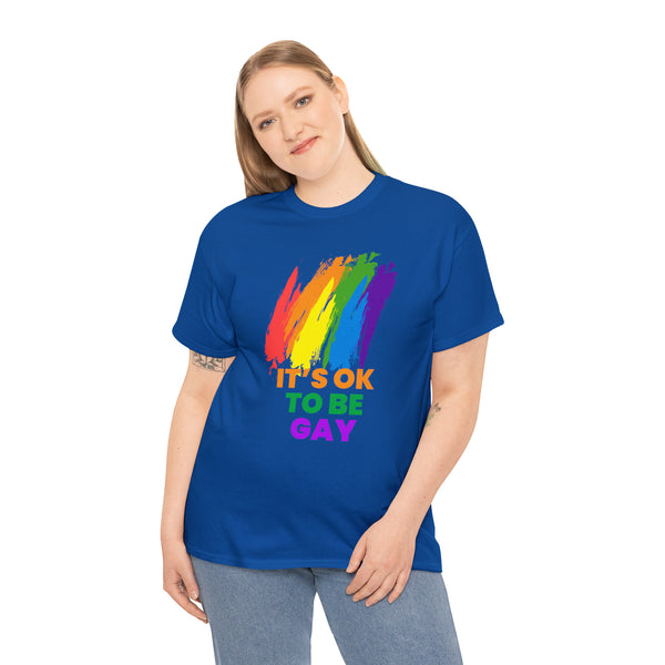 It's OK to Be Gay Equality LGBTQ Pride Rainbow Gay Lesbian Plus Size Tops for Women