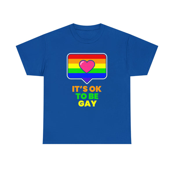 It's OK to Be Gay LGBT Lesbian Gay Bisexual Transgender Gay Plus Size Shirts for Women