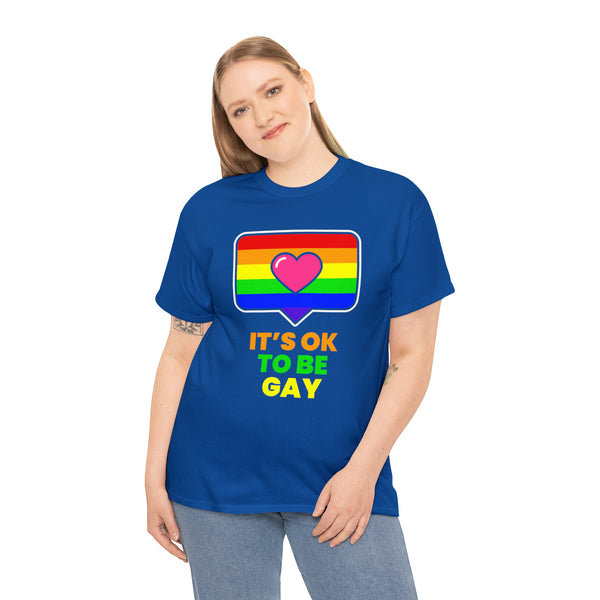 It's OK to Be Gay LGBT Lesbian Gay Bisexual Transgender Gay Plus Size Shirts for Women