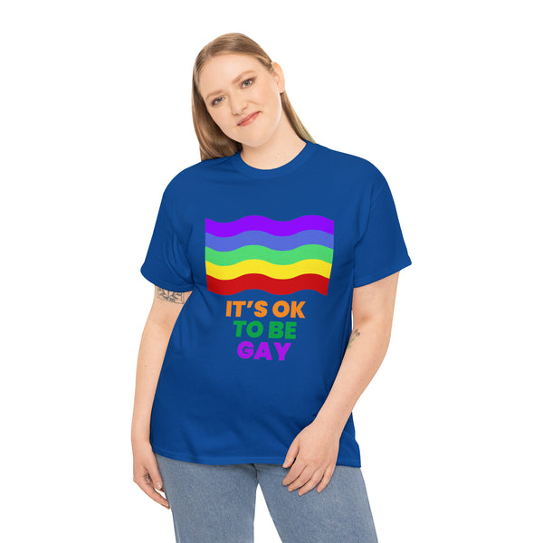 It's OK to Be Gay Equality Human Rights LGBT Pride Rainbow Plus Size Tops for Women