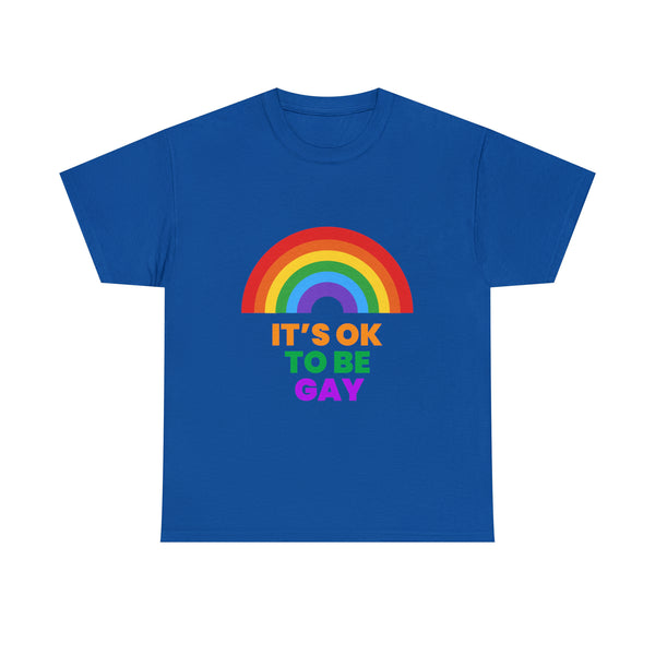 It's OK to Be Gay Equality LGBT Pride Rainbow Gay Lesbian Tshirts Shirts for Women Plus Size