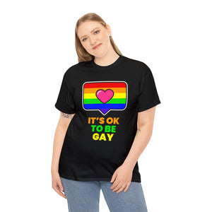 It's OK to Be Gay LGBT Lesbian Gay Bisexual Transgender Gay Plus Size Shirts for Women