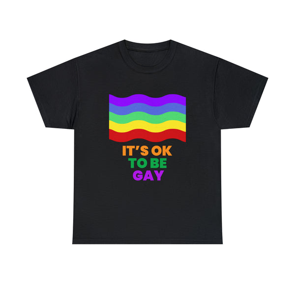 It's OK to Be Gay Equality Human Rights LGBT Pride Rainbow Plus Size Tops for Women