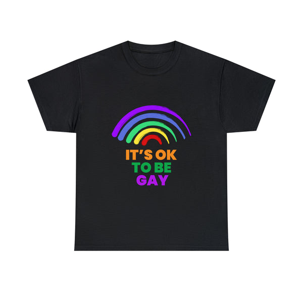 It's OK to Be Gay Rights LGBT Pride Rainbow Gay Lesbian Plus Size Clothing for Women