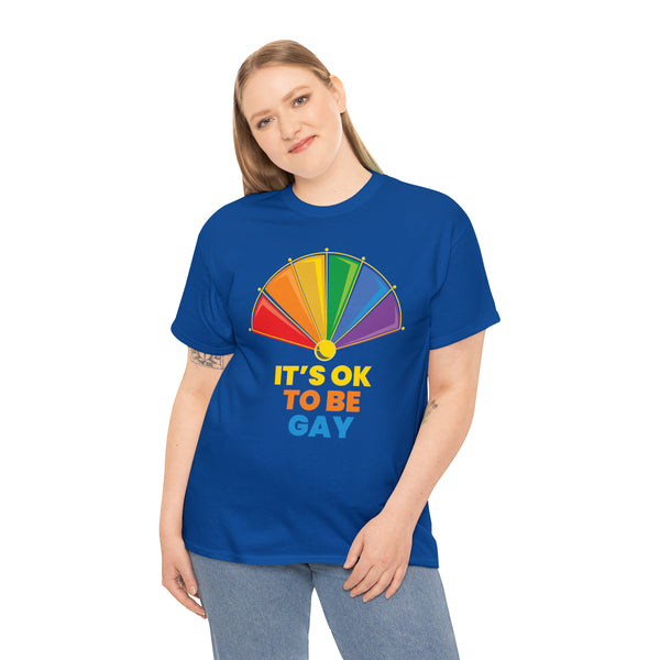 It's OK to Be Gay LGBTQ Flag Gay Lesbian Pride Month Rainbow Plus Size Clothing for Women