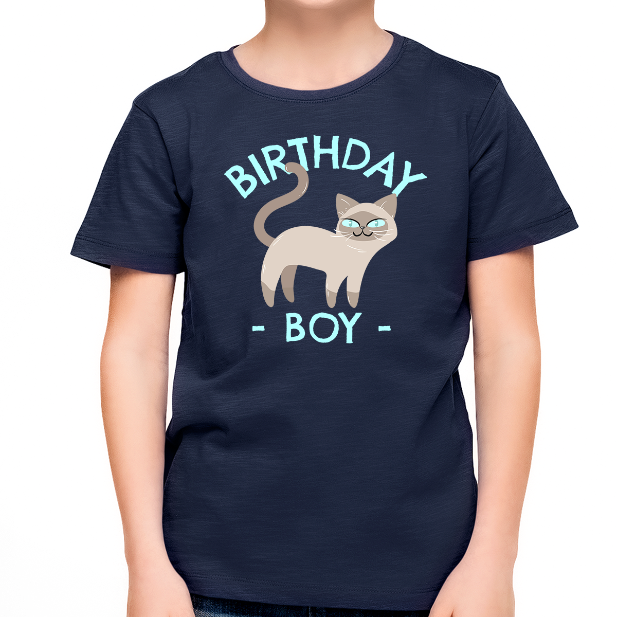 Birthday Boy Shirt Happy Birthday Shirt Cute Cat Birthday Shirt Birthday Boy Outfit
