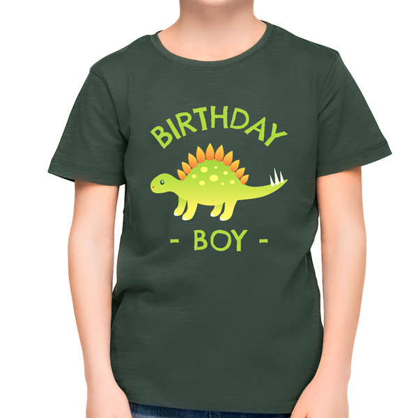 Birthday Boy Shirt Youth Toddler Birthday Shirt Dinosaur Birthday Shirt Birthday Boy Gift