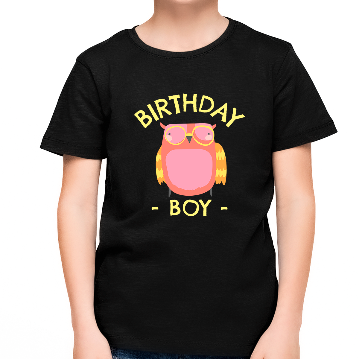 Cute Birthday Boy Shirt Birthday Shirt Boy Baby Owl Birthday Shirt Birthday Boy Gift
