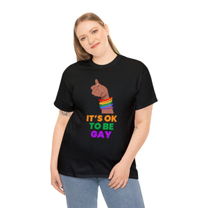 It's OK to Be Gay Shirt LGBTQ Be Gay Pride LGBT Rainbow Flag Plus Size Clothing for Women