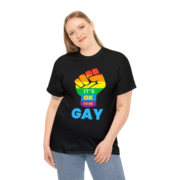 It's OK to Be Gay Gender Equality LGBTQ Pride Day Gay Parade Plus Size Tops for Women