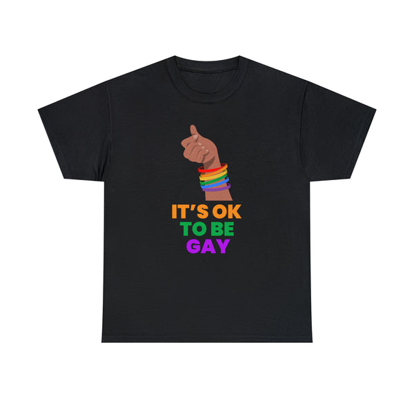 It's OK to Be Gay Shirt LGBTQ Be Gay Pride LGBT Rainbow Flag Plus Size Clothing for Women