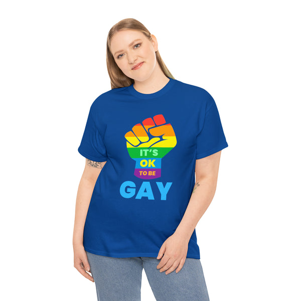 It's OK to Be Gay Gender Equality LGBTQ Pride Day Gay Parade Plus Size Tops for Women