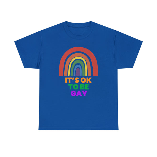 It's OK to Be Gay Equality Human Rights LGBT Pride Flag Gay Womens Plus Size Tops