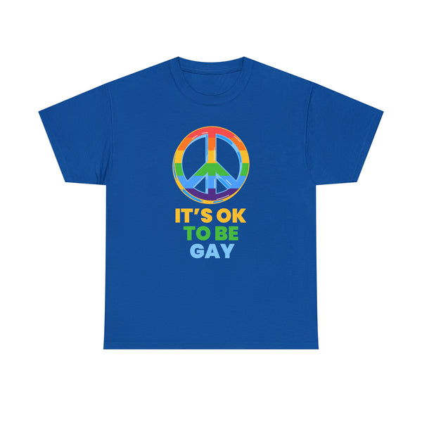 It's OK to Be Gay Pride Ally LGBT Pride Rainbow Lesbian Gay Plus Size Tops for Women