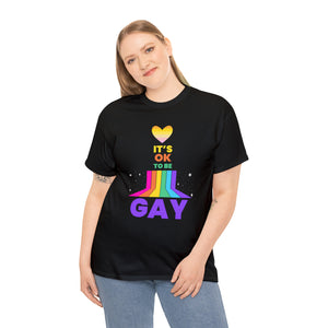 It's OK to Be Gay Gender Equality LGBT Pride Day Gay Rainbow Plus Size Shirts for Women