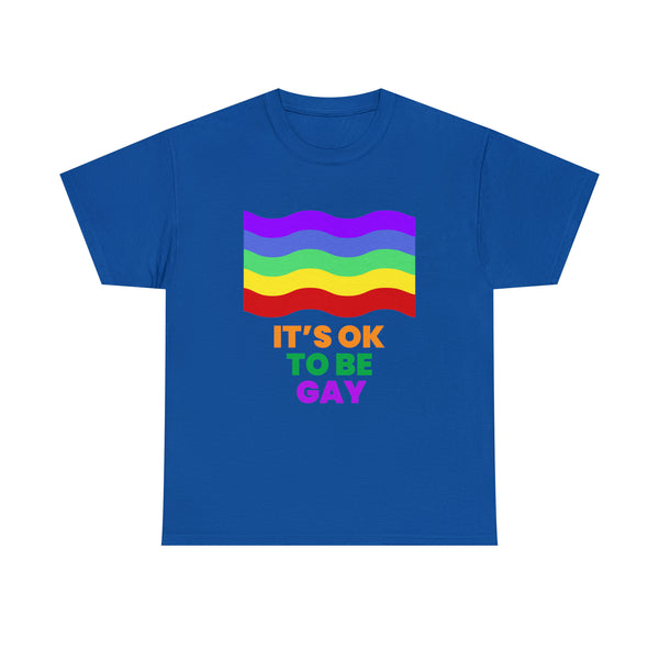 It's OK to Be Gay Equality Human Rights LGBT Pride Rainbow Plus Size Tops for Women